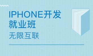 北京八角地区软件开发培训与技术服务市场概述