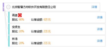智慧驱动，方舟启航 北京智慧方舟软件开发的创新之路
